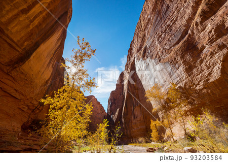 Autumn in Utah Autumn in Utah 93203584