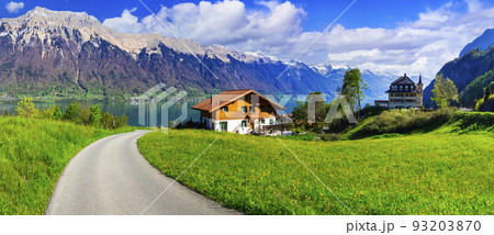 Idyllic Swiss nature landscape - green meadows with cows, surrounded by Alps mountains. Scenic lake Brienz, Iseltwald village Idyllic Swiss nature landscape - green meadows with cows, surrounded by Alps mountains. Scenic lake Brienz, Iseltwald village 93203870