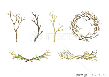 Bare Tree Branch Tied in Semi Circle and Wreath Vector Set 93204039