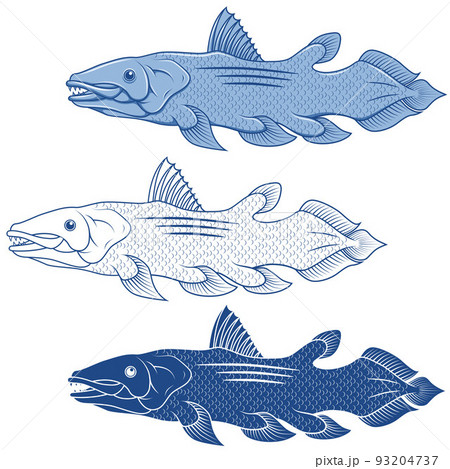 Coelacanth fish vector design 93204737