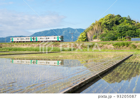 【牟岐線】早朝の田園風景を走行する普通列車 93205087