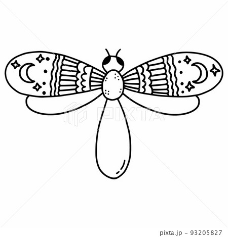 Butterfly in doodle style. Magic symbol. Vector sketch illustration. Butterfly in doodle style. Magic symbol. Vector sketch illustration. 93205827