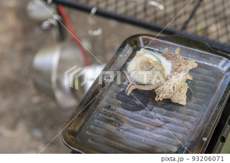 【オートキャンプ場でソロキャンプ　サザエを焼く】 93206071