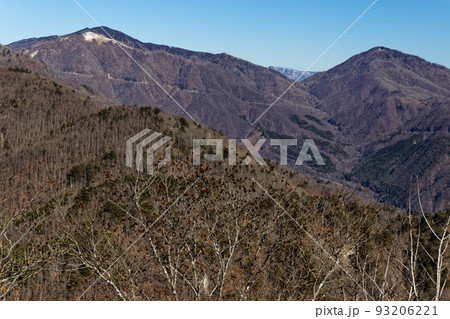 南大菩薩・滝子山から見る白谷ヶ丸・雁ヶ腹摺山と雲取山 93206221