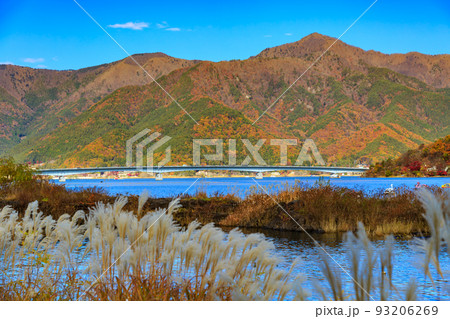 秋の山梨県　河口湖の紅葉 93206269