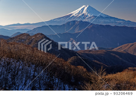 冬の南大菩薩・ハマイバ丸付近から見る富士山 93206469