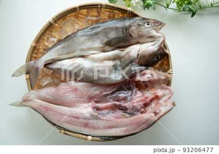 新鮮夏生ほっけの開き 新鮮夏生ほっけの開き 93206477
