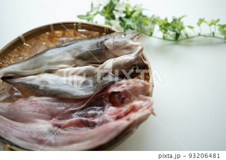 新鮮夏生ほっけの開き 新鮮夏生ほっけの開き 93206481