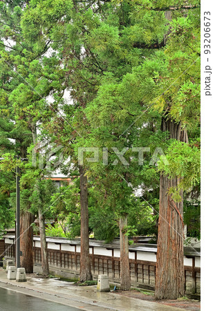 禅林街　西茂森長勝寺構(搭頭)スギ並木　青森県弘前市 93206673