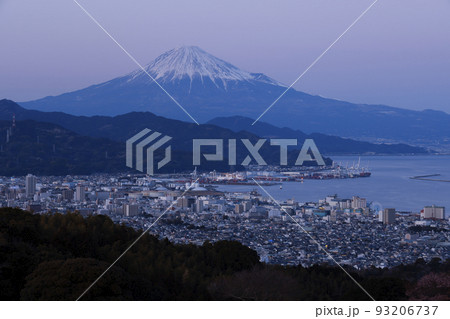 日本平ホテル 日本平ホテル 93206737