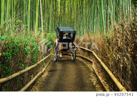 京都　嵯峨野　竹林の道 93207541