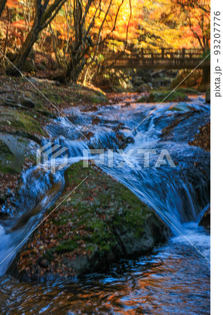 紅葉と清流の風景 栃木県塩原 紅葉と清流の風景 栃木県塩原 93207776