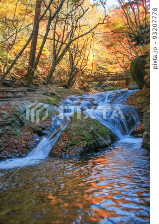 紅葉と清流の風景 栃木県塩原 紅葉と清流の風景 栃木県塩原 93207778