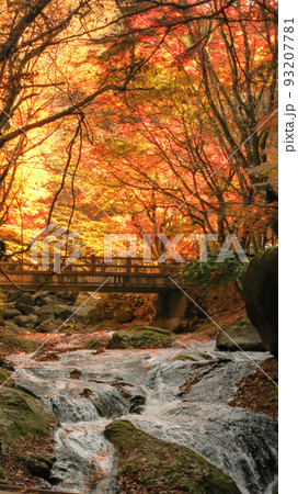 紅葉と清流の風景 栃木県塩原 紅葉と清流の風景 栃木県塩原 93207781