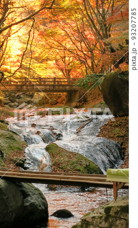 紅葉と清流の風景 栃木県塩原 紅葉と清流の風景 栃木県塩原 93207785