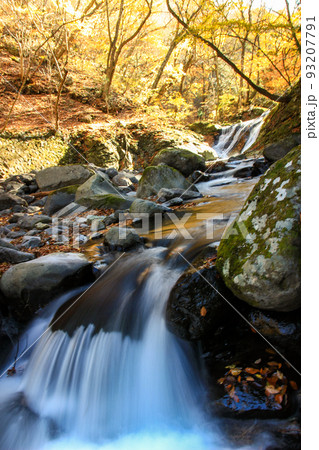 紅葉と清流の風景 栃木県塩原 紅葉と清流の風景 栃木県塩原 93207791