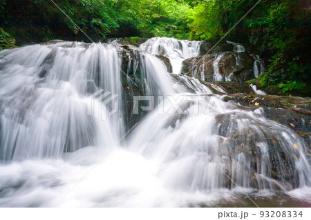 新緑と魚止めの滝 93208334