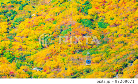 立山ロープウェイ（秋） 93209071