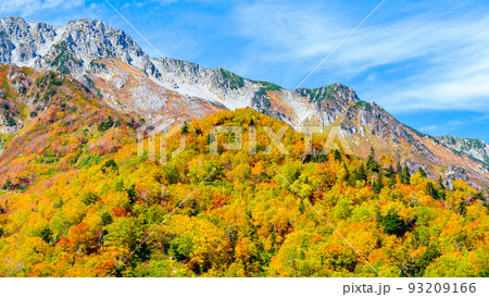 黒部平から望む秋の立山 93209166