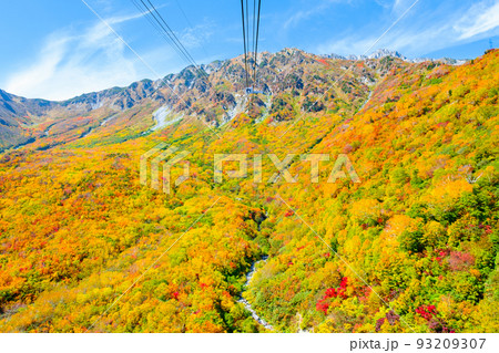秋の立山ロープウェイ(黒部平から大観峰へ) 秋の立山ロープウェイ(黒部平から大観峰へ) 93209307