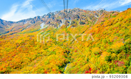 秋の立山ロープウェイ（黒部平から大観峰へ） 93209308