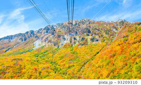 秋の立山ロープウェイ（黒部平から大観峰へ） 93209310
