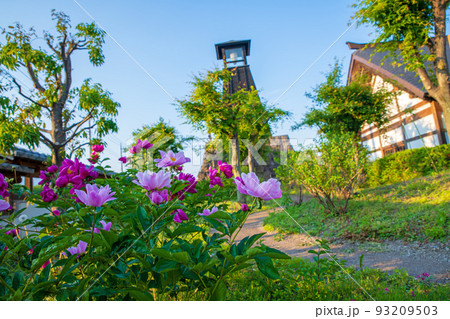白井宿 鐘楼 道の駅こもち 初夏花咲く風景 渋川市 白井宿 鐘楼 道の駅こもち 初夏花咲く風景 渋川市 93209503