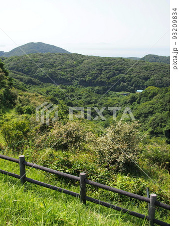 宗像大島の森【福岡県宗像市】 93209834