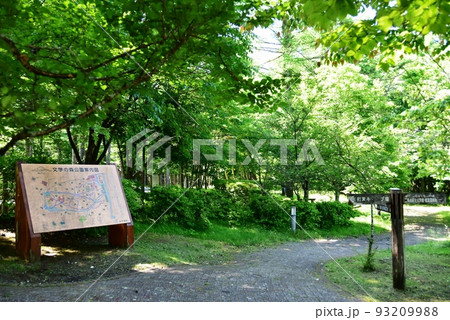 山中湖村　山中湖文学の森公園の散策路と新緑と文学の森案内板と道しるべ 93209988