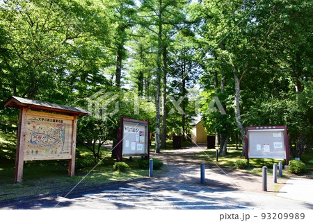 山中湖文学の森公園の駐車場側入口と新緑と観光案内板と散策路 93209989