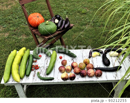 夏バテしないで育ったきゅうり、ナス、ゴーヤ、カボチャ、イチジク、トマト、長椅子2 93212255