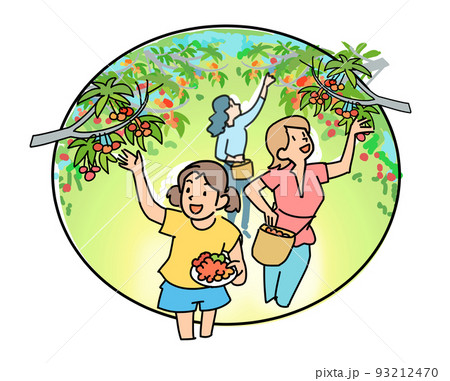 さくらんぼ狩り 93212470