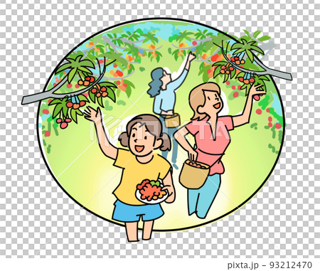 さくらんぼ狩り 93212470