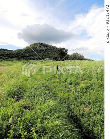 阿津賀志山防塁 阿津賀志山防塁 93212472