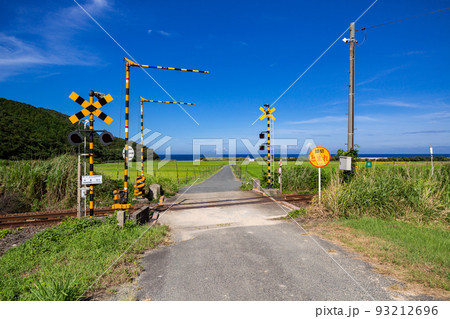 山陰本線本郷踏切と棚田の風景 山口県下関市豊浦町 山陰本線本郷踏切と棚田の風景 山口県下関市豊浦町 93212696