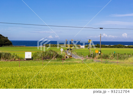 山陰本線本郷踏切と棚田の風景　山口県下関市豊浦町 93212704