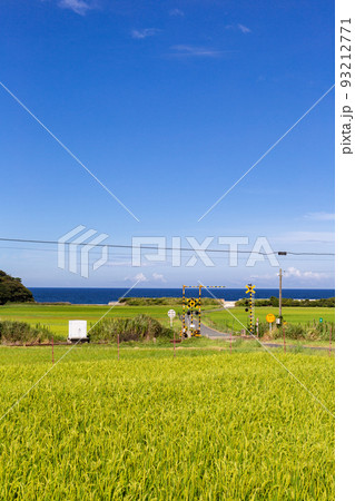 山陰本線本郷踏切と棚田の風景　山口県下関市豊浦町 93212771