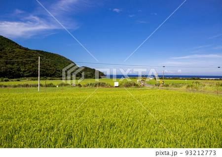 山陰本線本郷踏切と棚田の風景　山口県下関市豊浦町 93212773