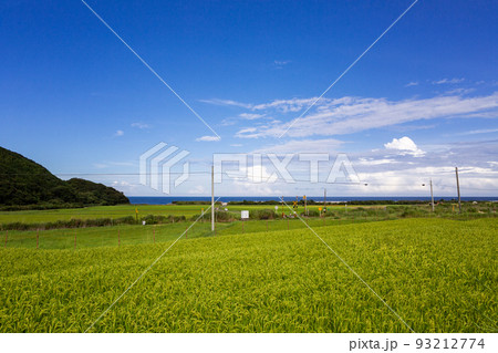 山陰本線本郷踏切と棚田の風景　山口県下関市豊浦町 93212774