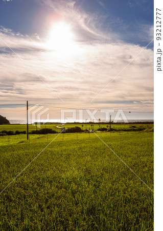山陰本線本郷踏切と棚田の風景　山口県下関市豊浦町 93212777
