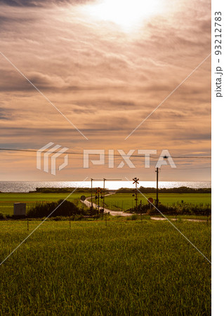 山陰本線本郷踏切と棚田の風景　山口県下関市豊浦町 93212783