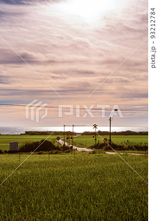 山陰本線本郷踏切と棚田の風景　山口県下関市豊浦町 93212784