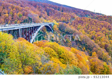 青森県 紅葉に包まれる城ケ倉大橋 93213044