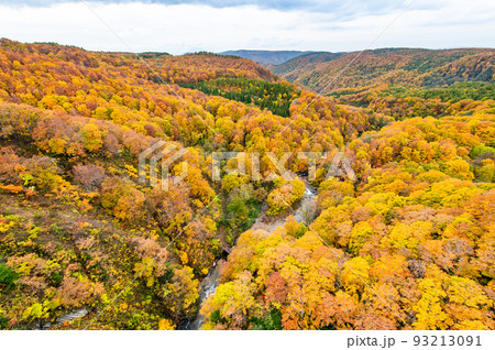 青森県 紅葉の山塊　～城ケ倉大橋から～ 93213091