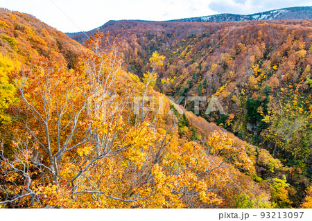 青森県 紅葉の山塊　～城ケ倉大橋から～ 93213097