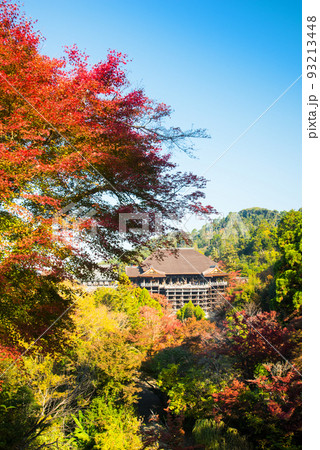 世界遺産 京都清水寺の紅葉と青空/ 93213448