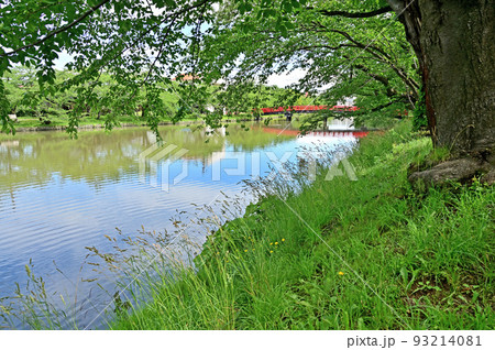 史跡弘前城址　弘前城西濠　春陽橋　青森県弘前市 93214081