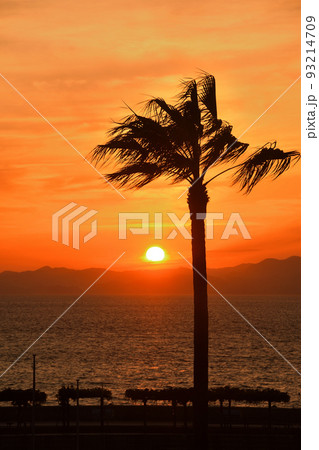 小浜の夕陽 93214709