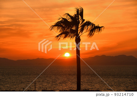 小浜の夕陽 93214710