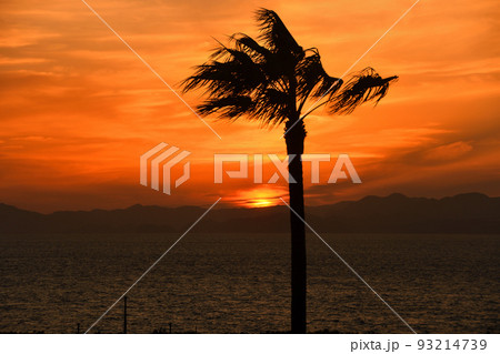 小浜の夕陽 93214739